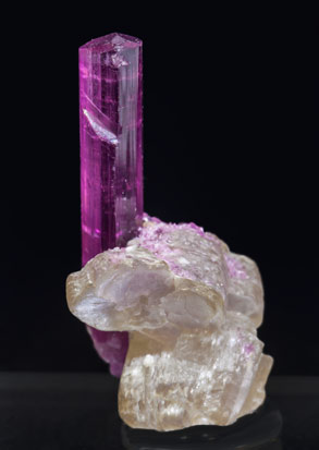 Elbaite (variety rubellite) with 'lepidolite'. Rear