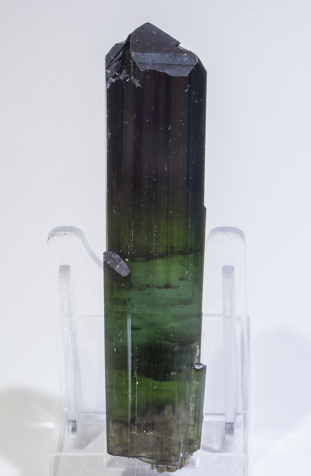 specimens/s_imagesAI8/Elbaite-MT54AI8f.jpg