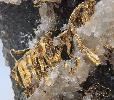 Gold with Quartz. 