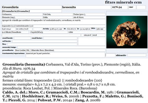 Grossularia (variedad hessonita) con Clorita