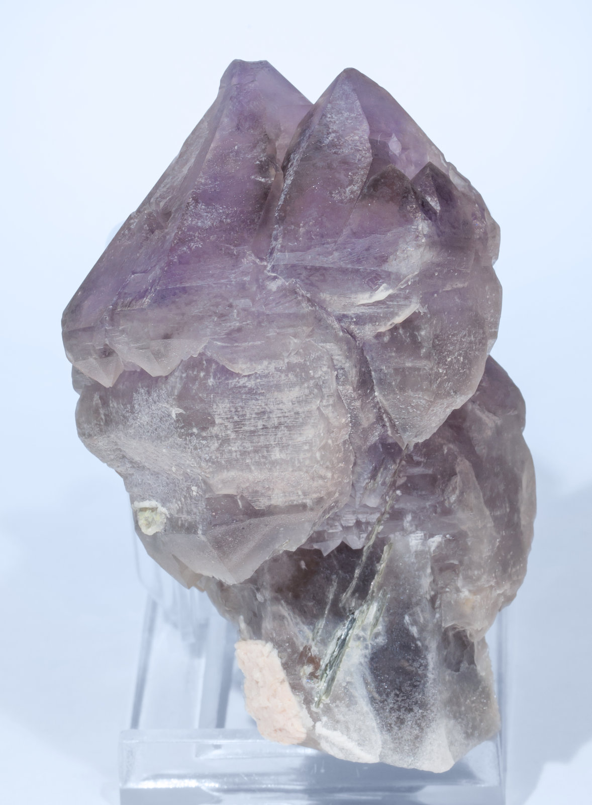 specimens/s_imagesAI8/Quartz_amethyst-DR96AI8r.jpg