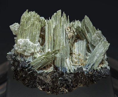 Actinolite with Ferro-actinolite and Prehnite.