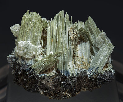 Actinolite with Ferro-actinolite and Prehnite. 