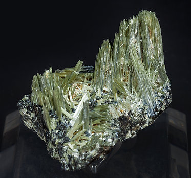 Actinolite with Ferro-actinolite. Front