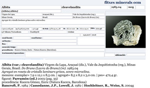 Albite (variety cleavelandite) with Orthoclase