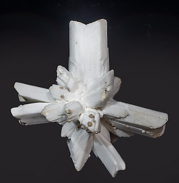 Calcite after Gypsum with Siderite. Front