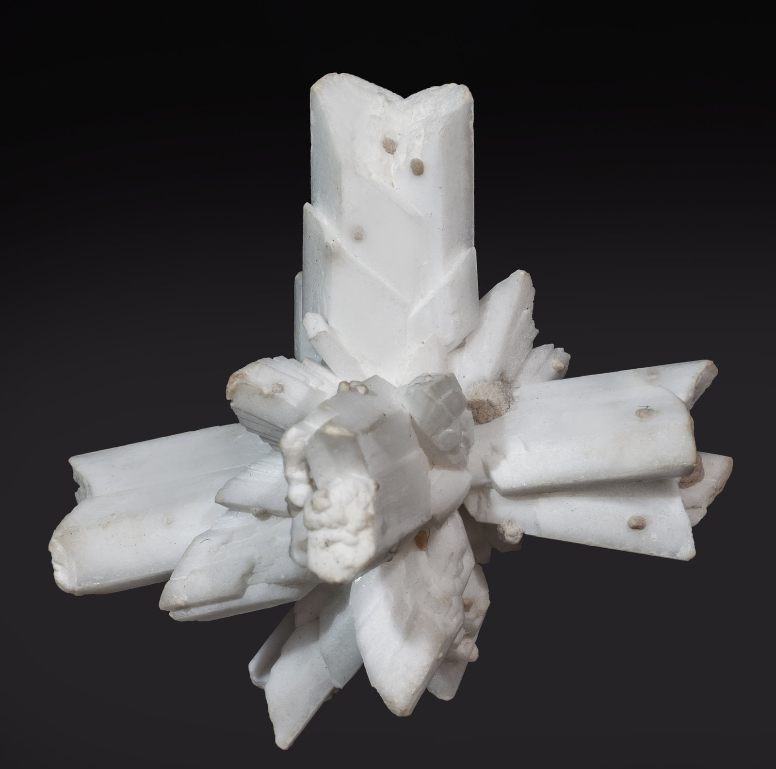 specimens/s_imagesAJ0/Gypsum-MF14AJ0r.jpg