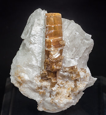 Phlogopite with Calcite. 