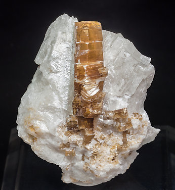 Phlogopite with Calcite.