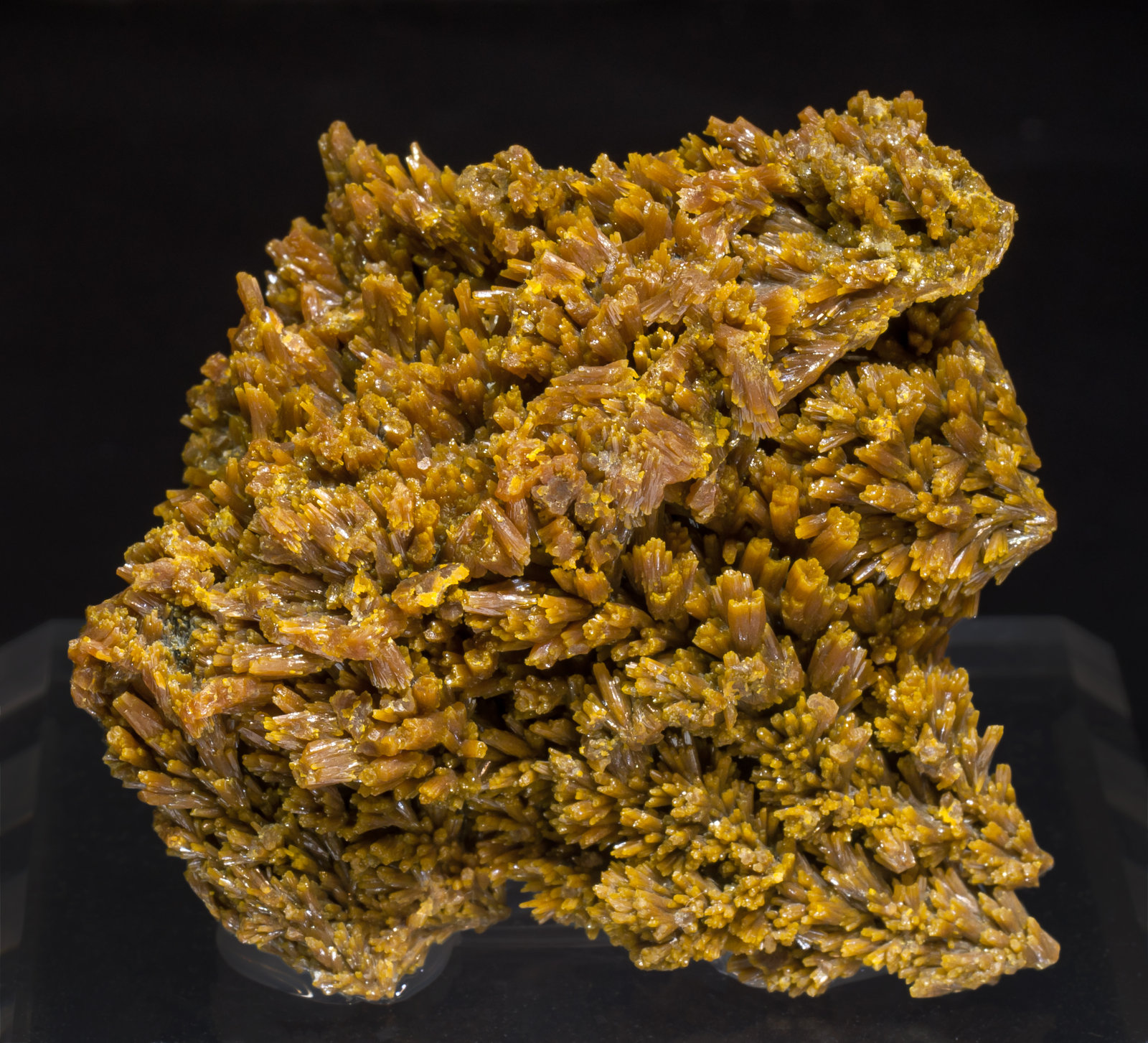 specimens/s_imagesAJ0/Pyromorphite-MG26AJ0f.jpg