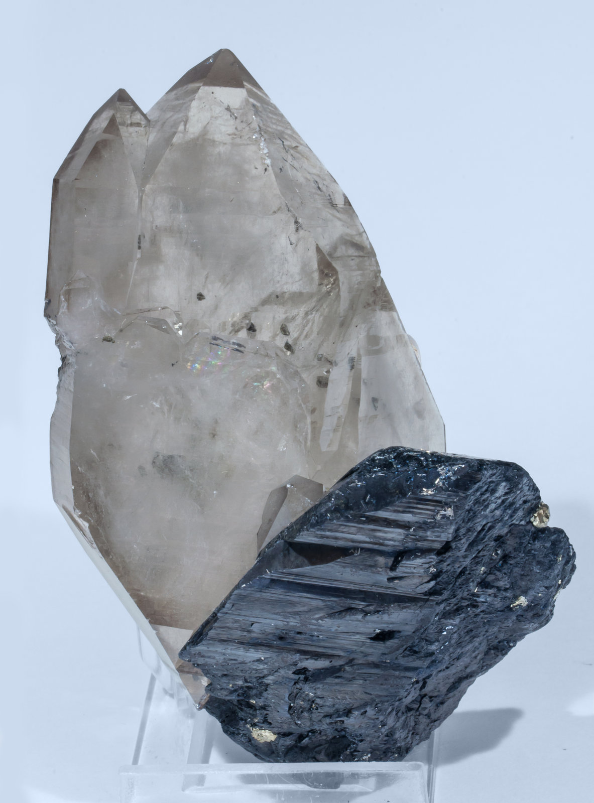 specimens/s_imagesAJ0/Quartz-DC89AJ0r.jpg