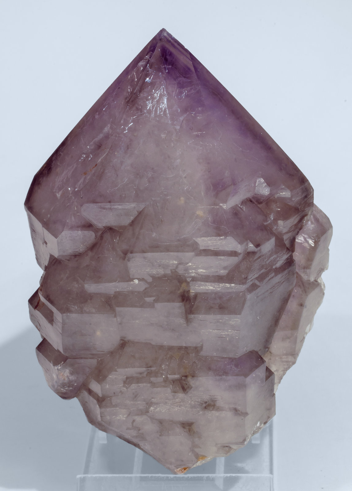 specimens/s_imagesAJ0/Quartz_amethyst-NH28AJ0f.jpg