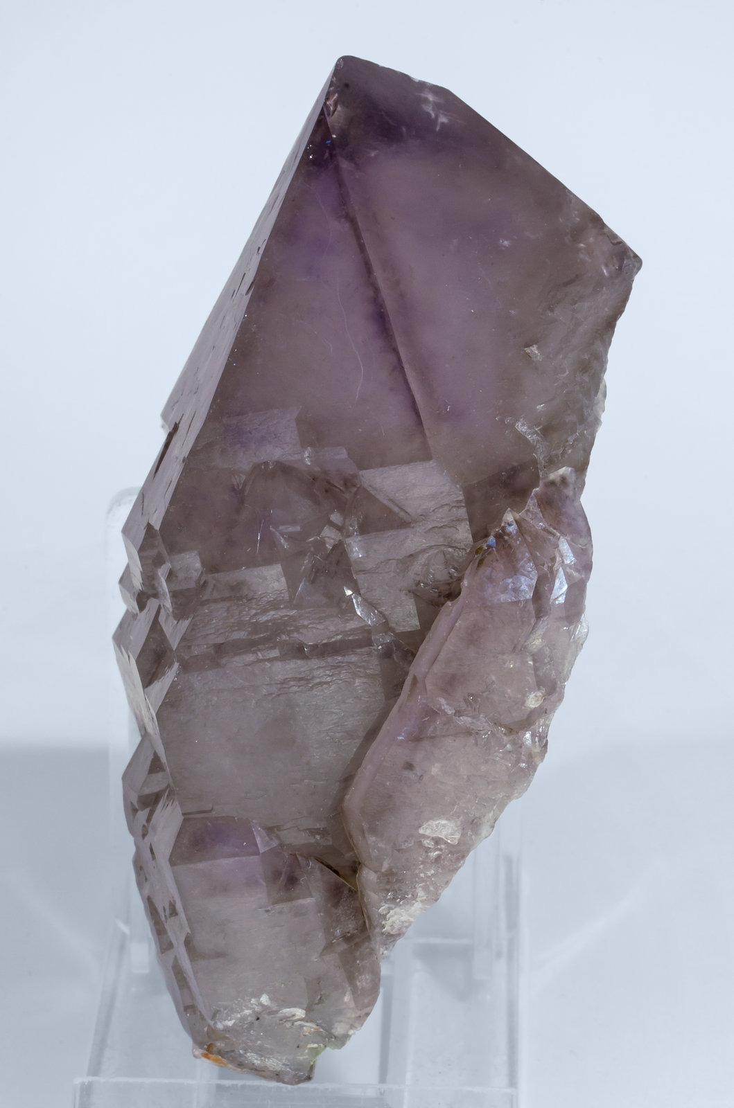 specimens/s_imagesAJ0/Quartz_amethyst-NH28AJ0s.jpg