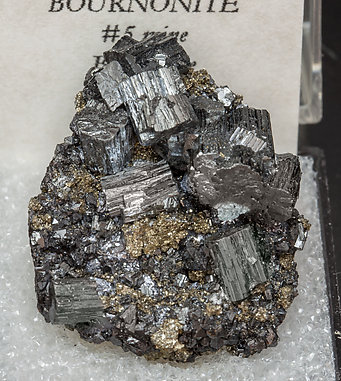 Bournonite with Pyrite. 