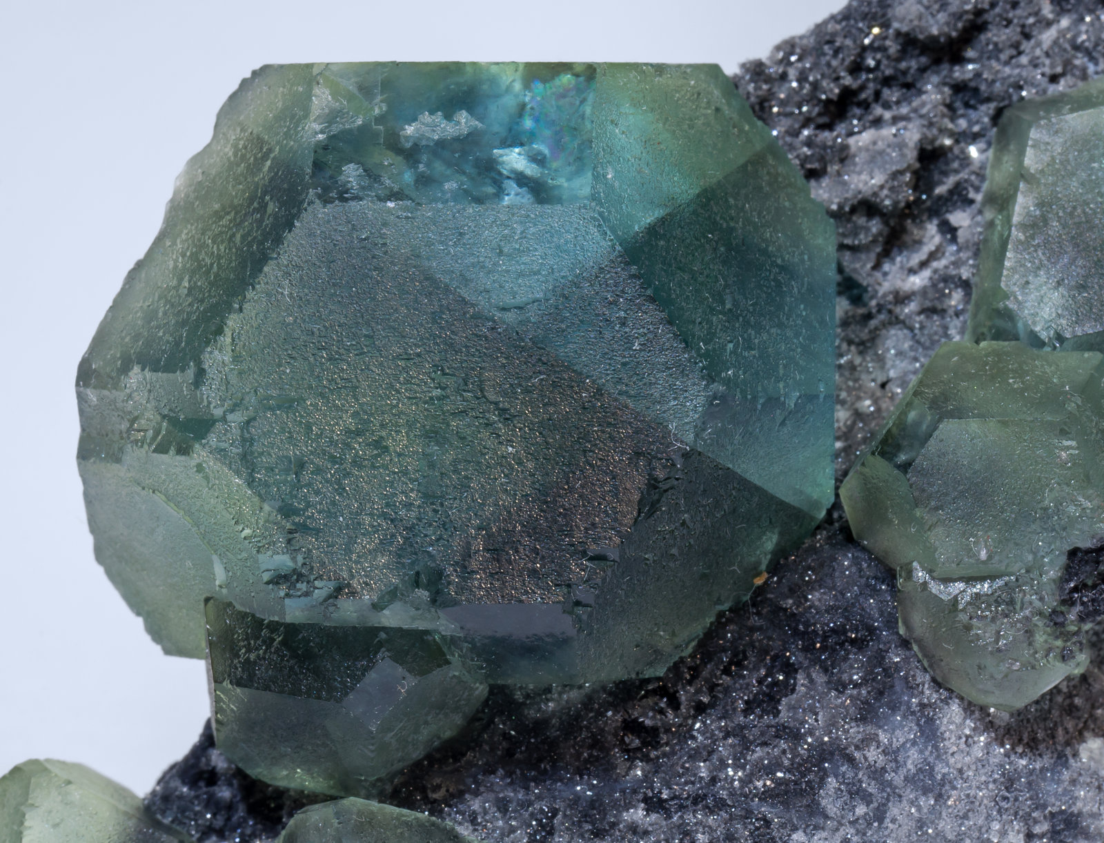 specimens/s_imagesAJ1/Fluorite-MF70AJ1d.jpg