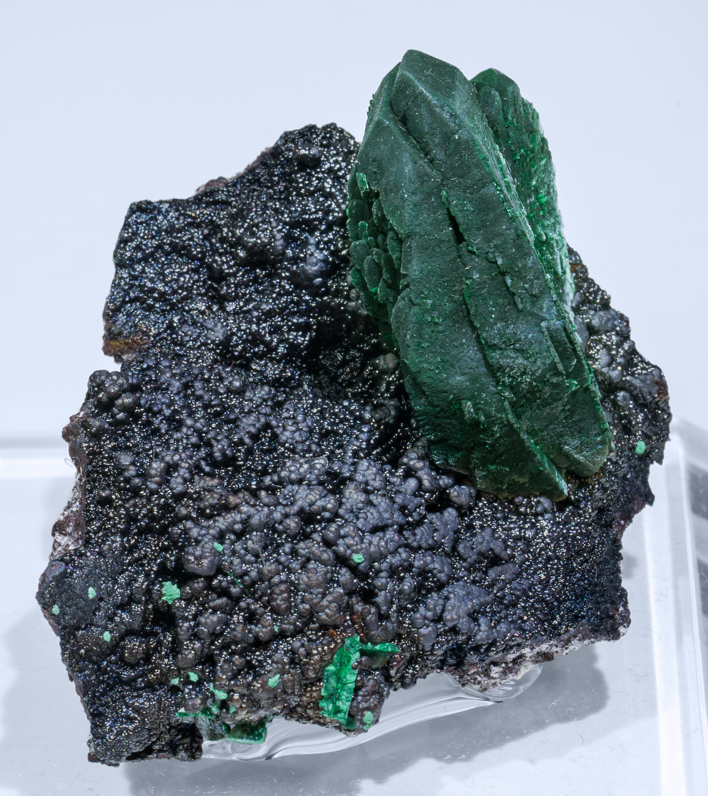 specimens/s_imagesAJ2/Malachite-TQ69AJ2s.jpg