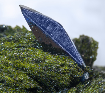 Volborthite with Azurite. Close-up