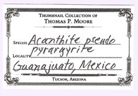 Acanthite after Pyrargyrite