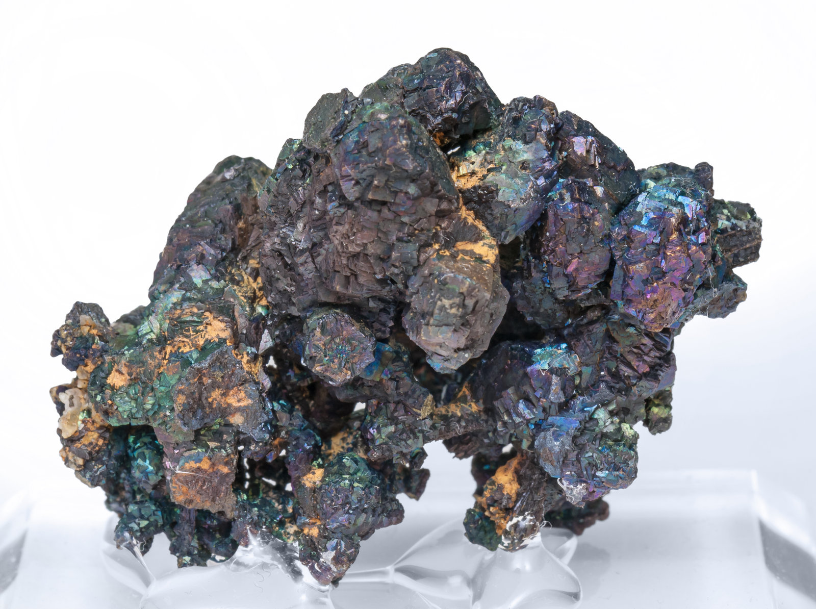 specimens/s_imagesAJ3/Bornite-TY68AJ3r.jpg