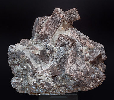Andalusite  with Quartz and Mica. 