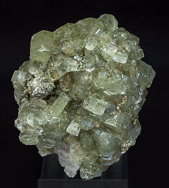 Fluorapatite with Pyrite and Muscovite. Top