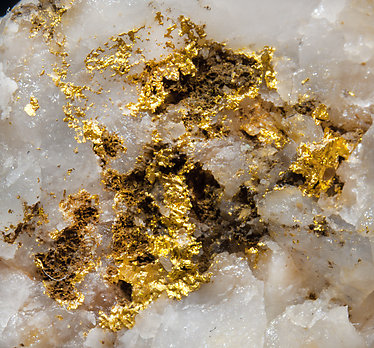 Gold with Quartz. 