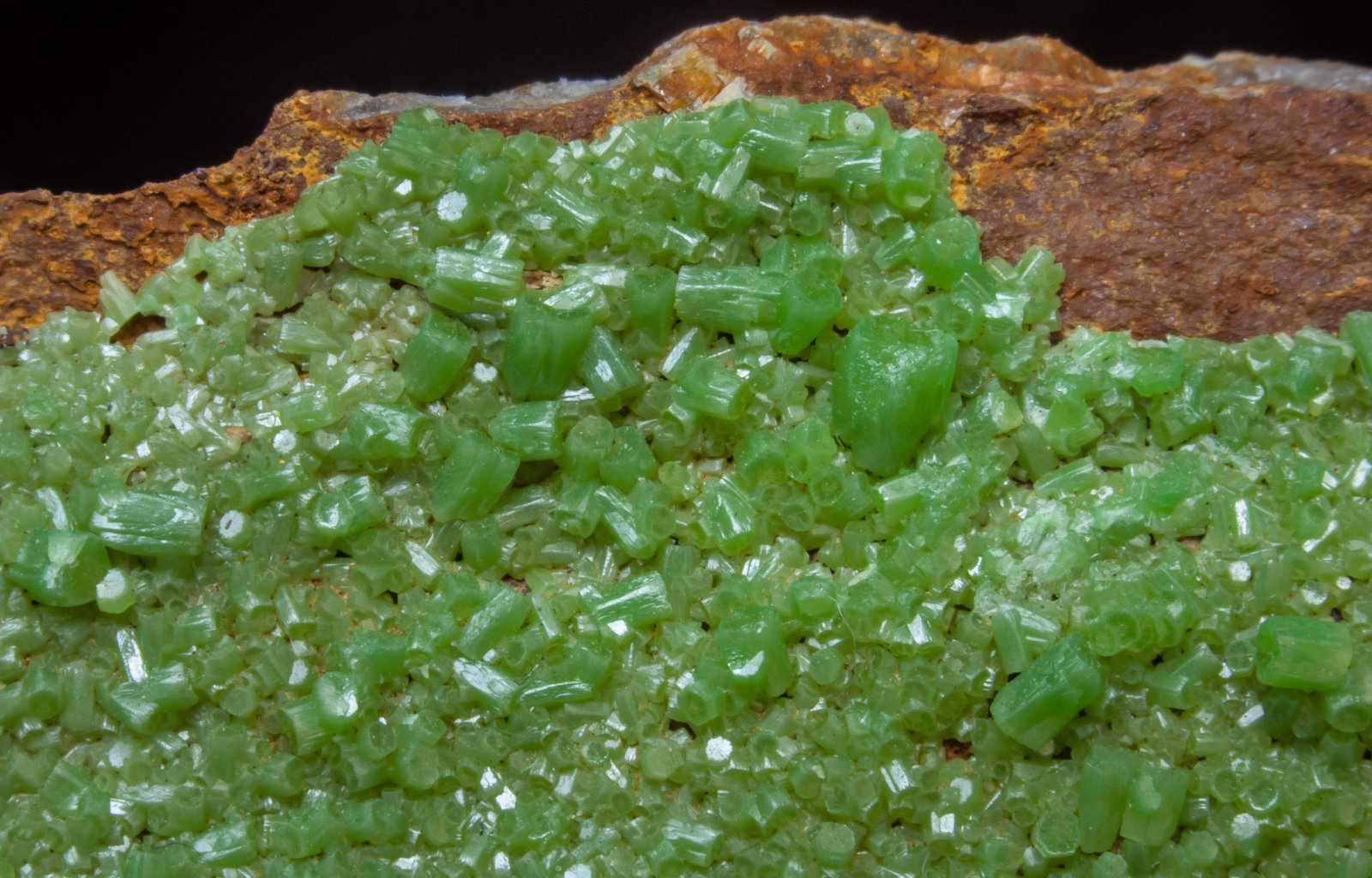 specimens/s_imagesAJ5/Pyromorphite-NX14AJ5d.jpg