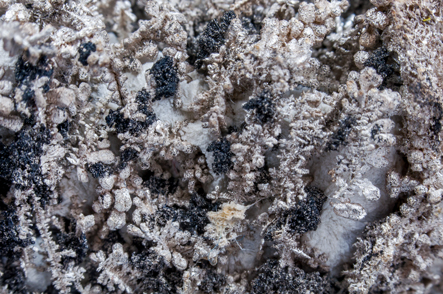 Silver with Acanthite and Calcite. 