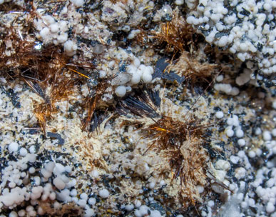 Yuanfuliite with Hematite, Calcite and Diopside. 