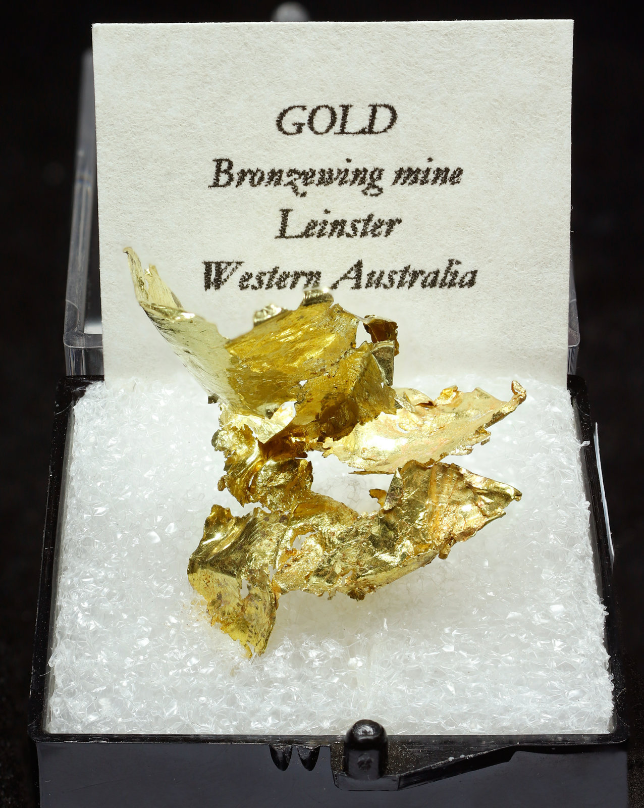 specimens/s_imagesAJ6/Gold-TC16AJ6f1.jpg
