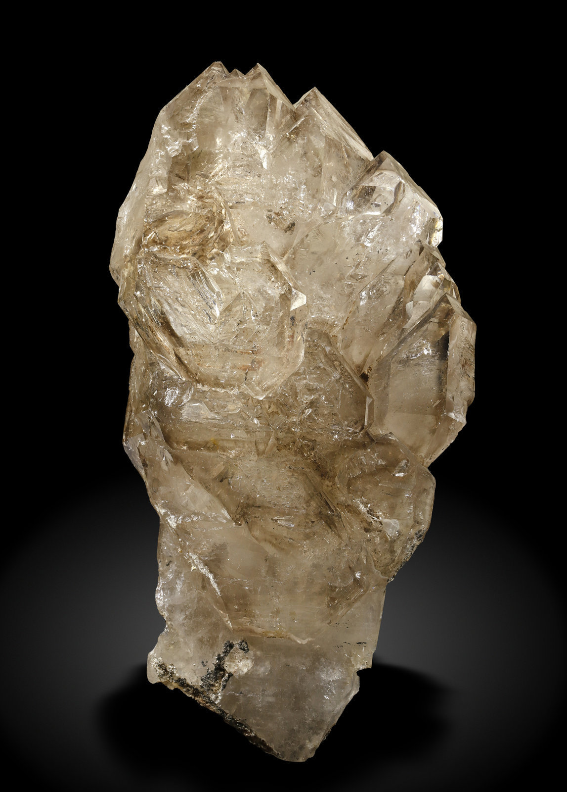 specimens/s_imagesAJ6/Quartz-NF90AJ6f.jpg