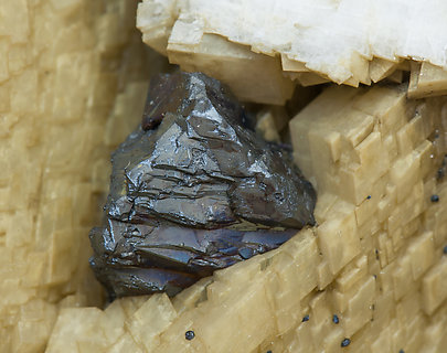 Chalcopyrite with Dolomite and Calcite. 