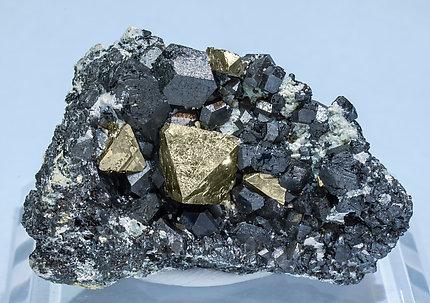 Pyrite with Magnetite. 