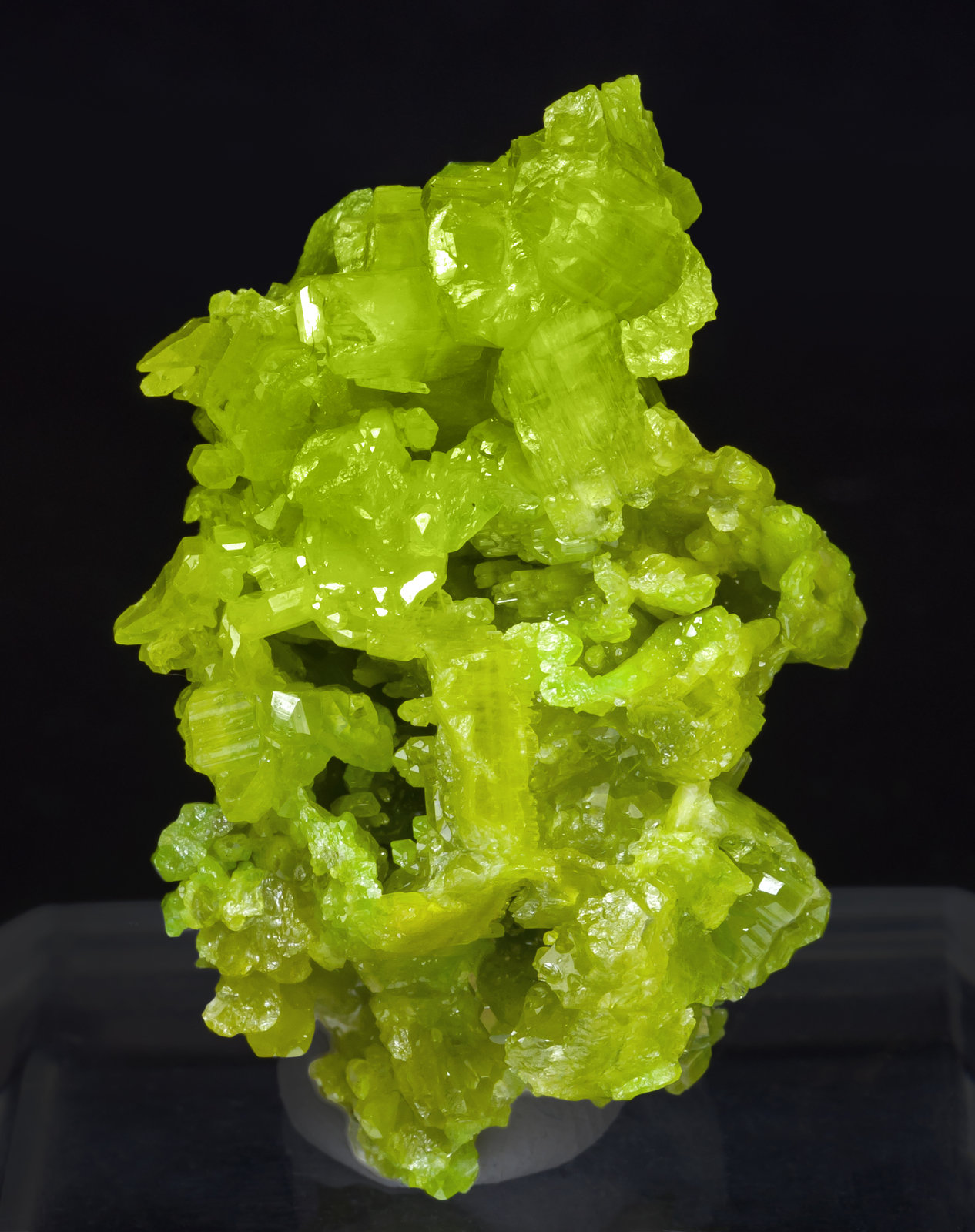 specimens/s_imagesAJ7/Pyromorphite-CC49AJ7f.jpg