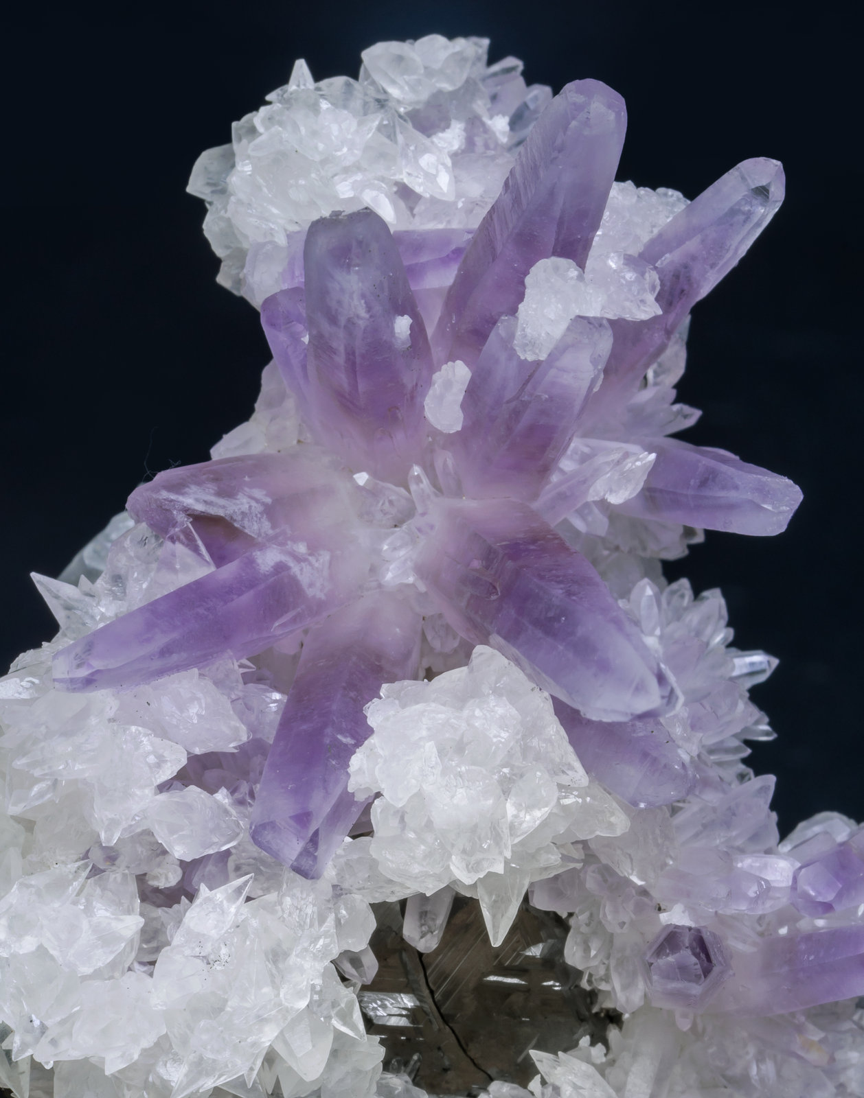 specimens/s_imagesAJ7/Quartz_amethyst-CE37AJ7d.jpg