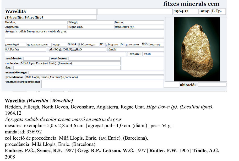 specimens/s_imagesAJ7/Wavelite-CT13AJ7e.jpg