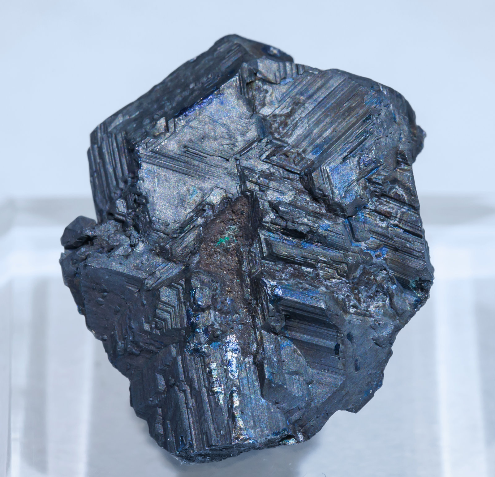 specimens/s_imagesAJ8/Bornite-NK87AJ8t.jpg