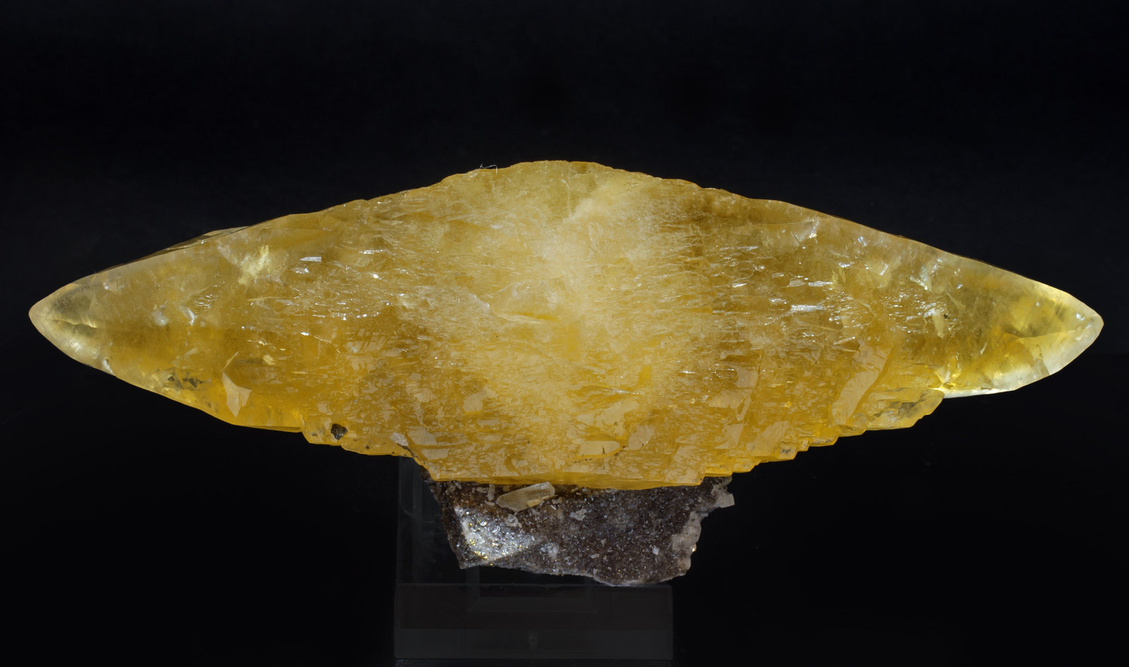 specimens/s_imagesAJ8/Calcite-TM89AJ8f.jpg