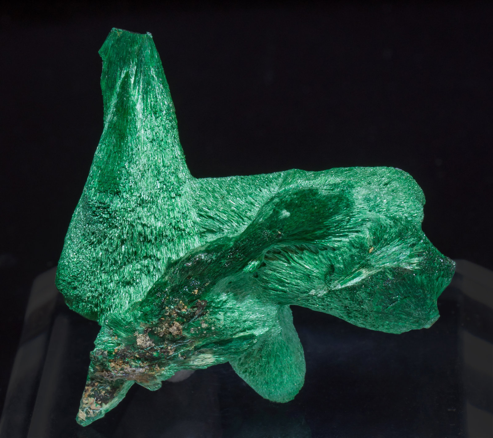 specimens/s_imagesAJ8/Malachite-TX96AJ8r.jpg