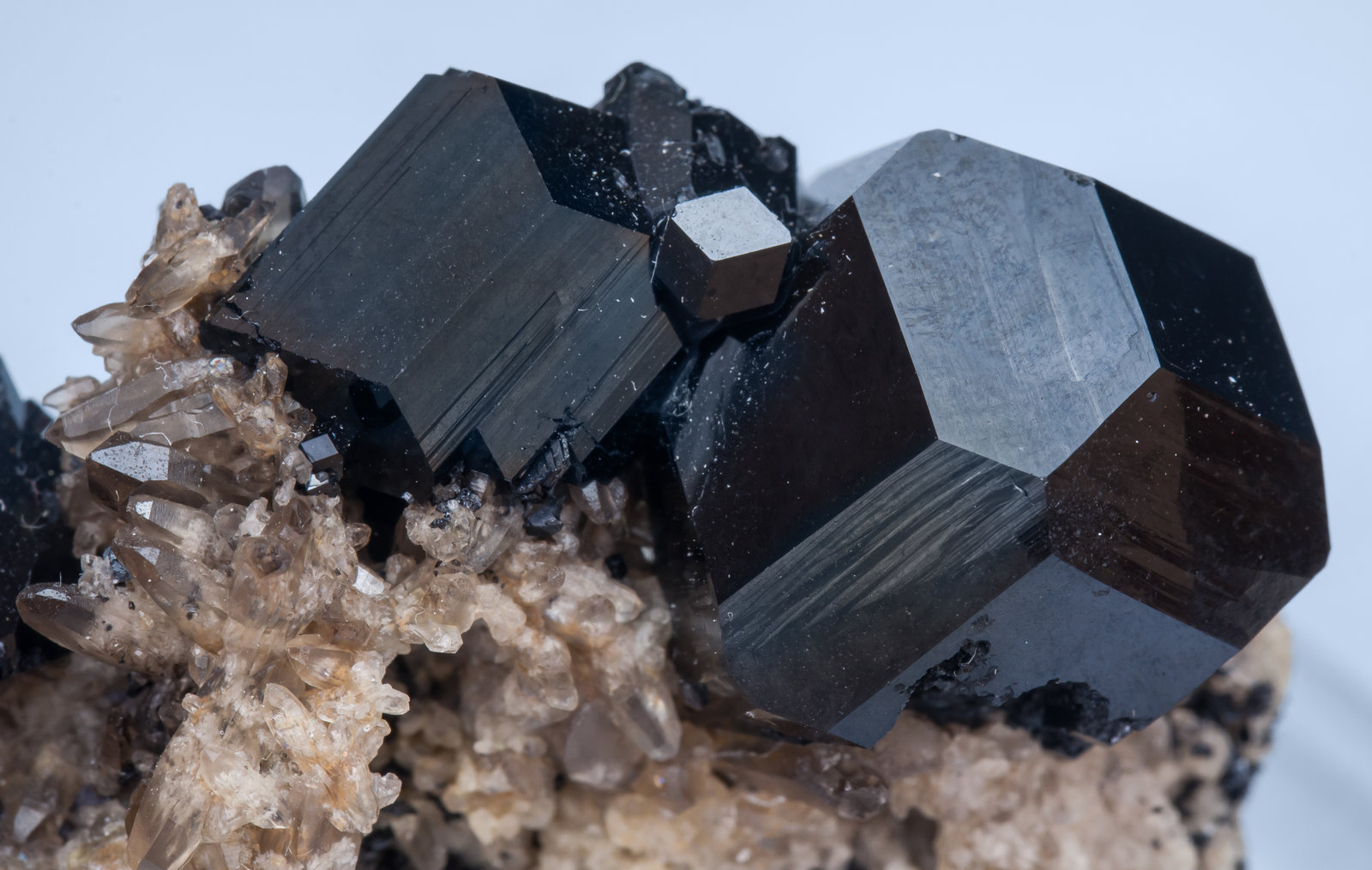 specimens/s_imagesAJ8/Schorl-TG13AJ8d.jpg