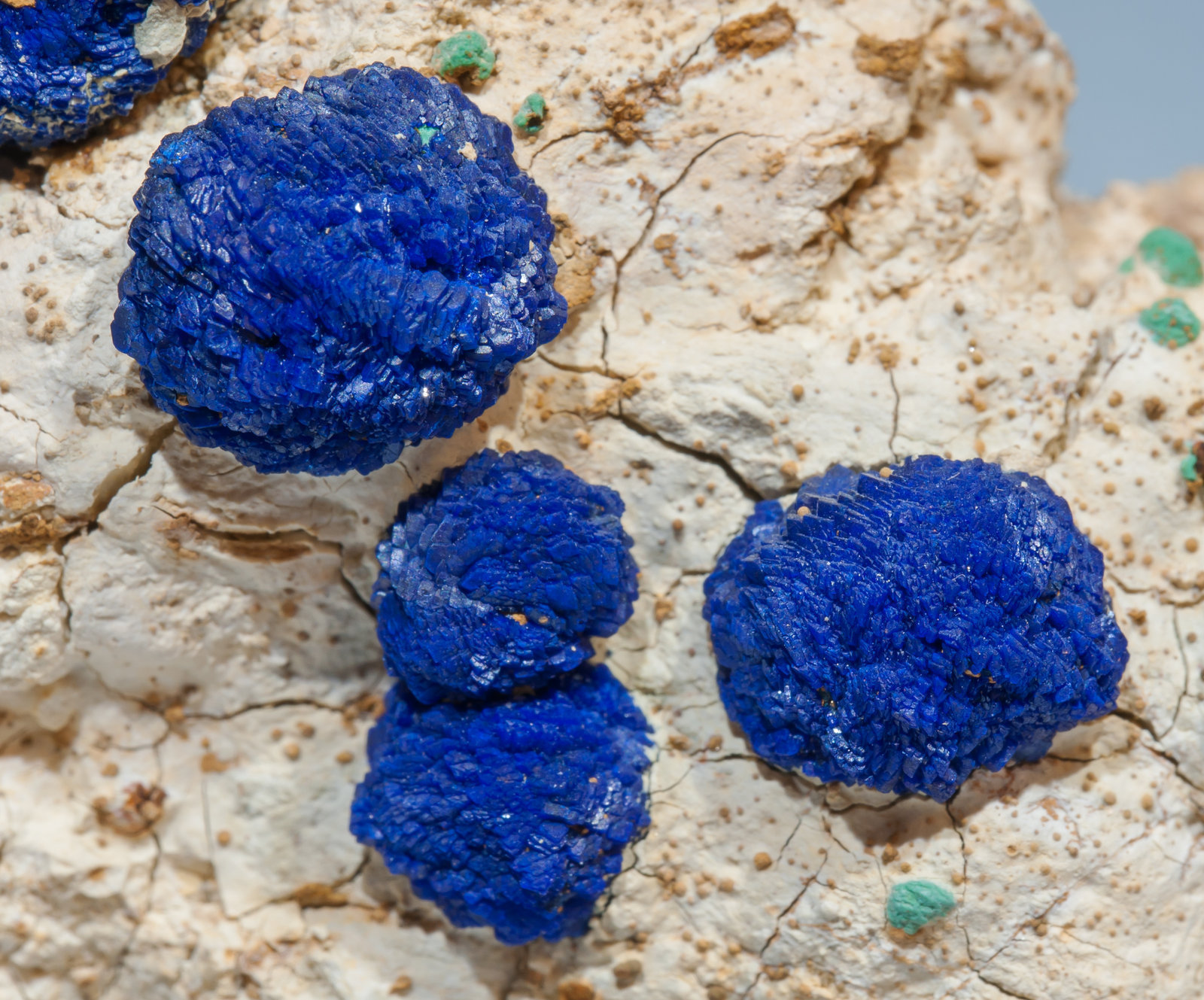 specimens/s_imagesAJ9/Azurite-NV26AJ9d.jpg