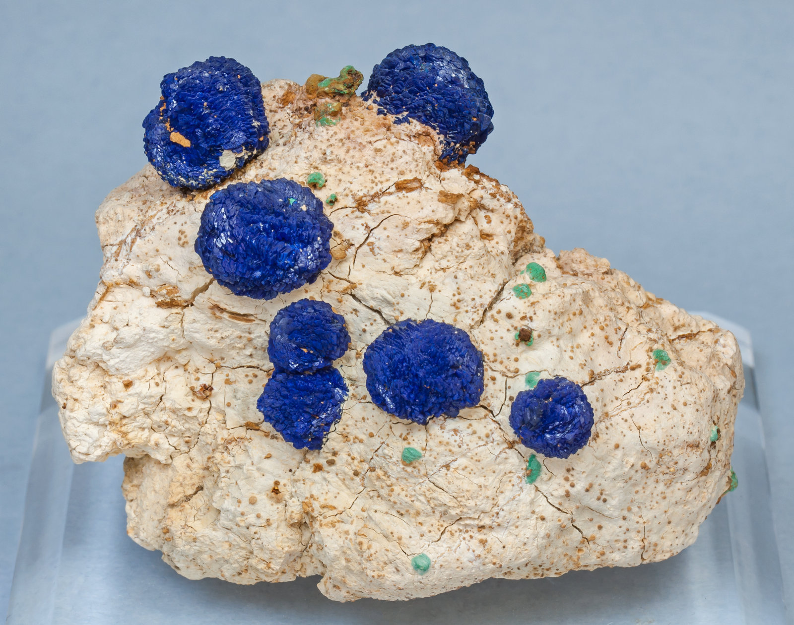 specimens/s_imagesAJ9/Azurite-NV26AJ9f.jpg