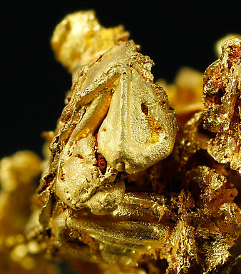 Gold with Quartz. 