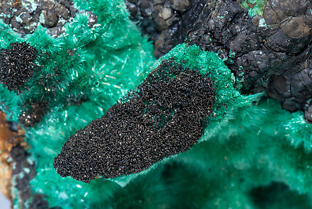 Murdochite with Brochantite, Linarite and Goethite. 