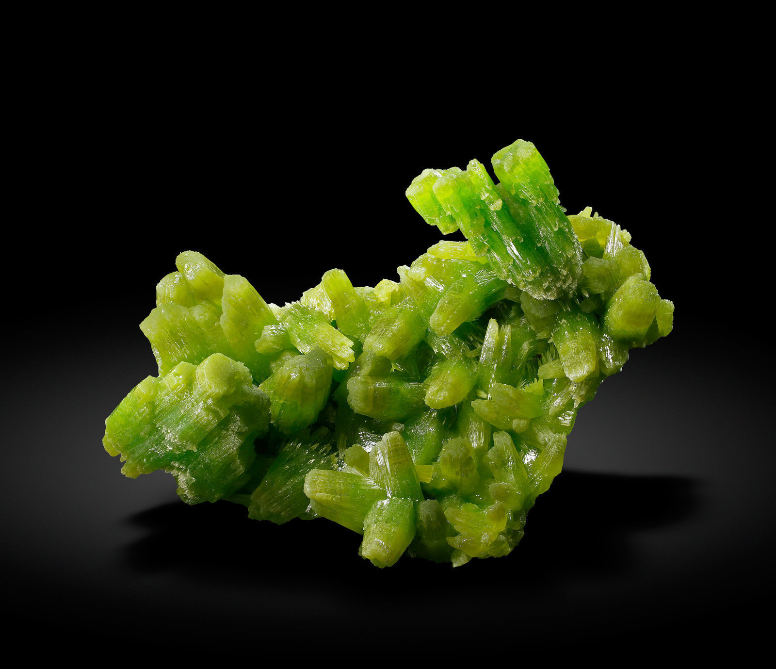 specimens/s_imagesAJ9/Pyromorphite-AG96AJ9_9423_f.jpg