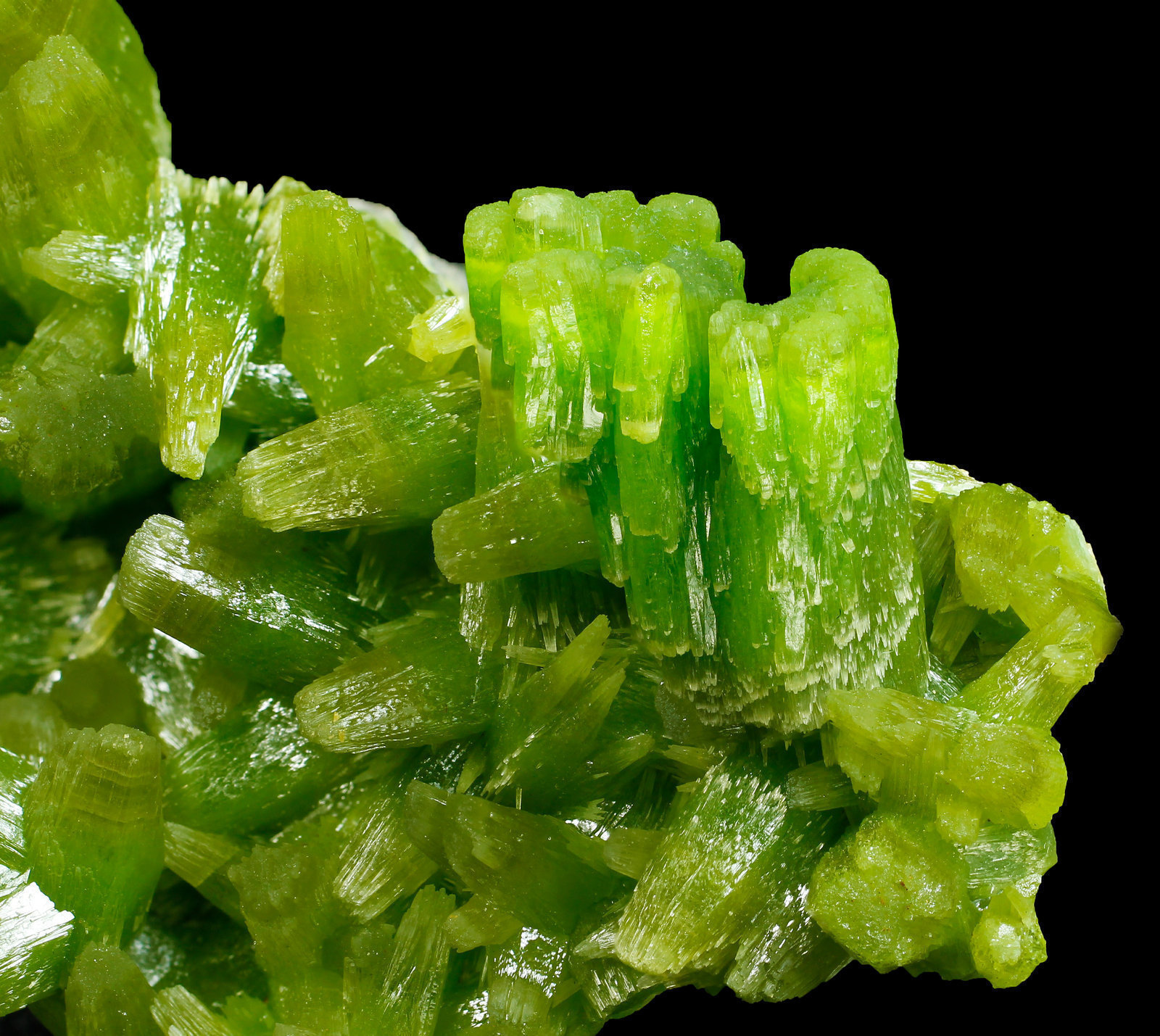 specimens/s_imagesAJ9/Pyromorphite-AG96AJ9_9443_d.jpg