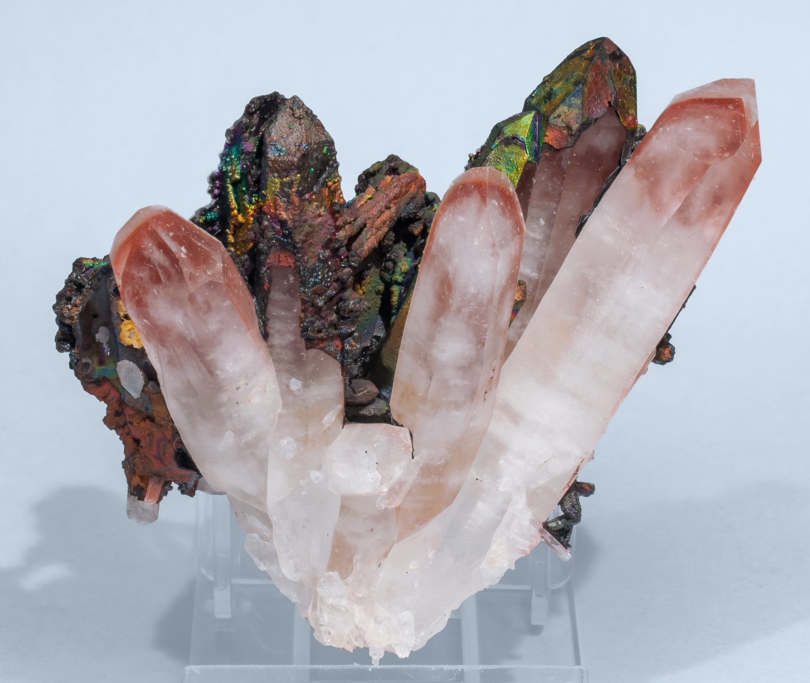 specimens/s_imagesAJ9/Quartz-NT26AJ9f.jpg