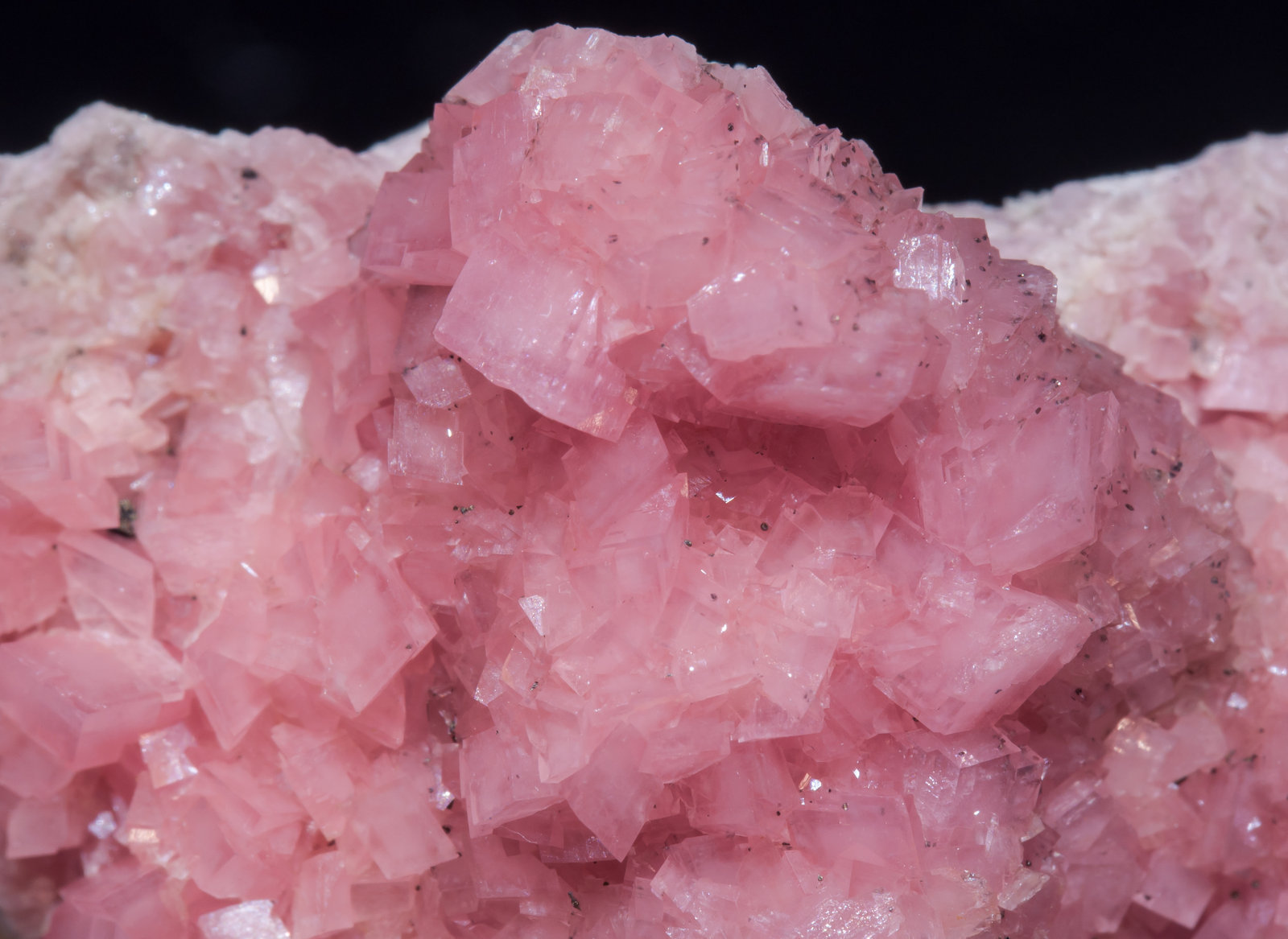 specimens/s_imagesAJ9/Rhodochrosite-TC6AJ9d.jpg