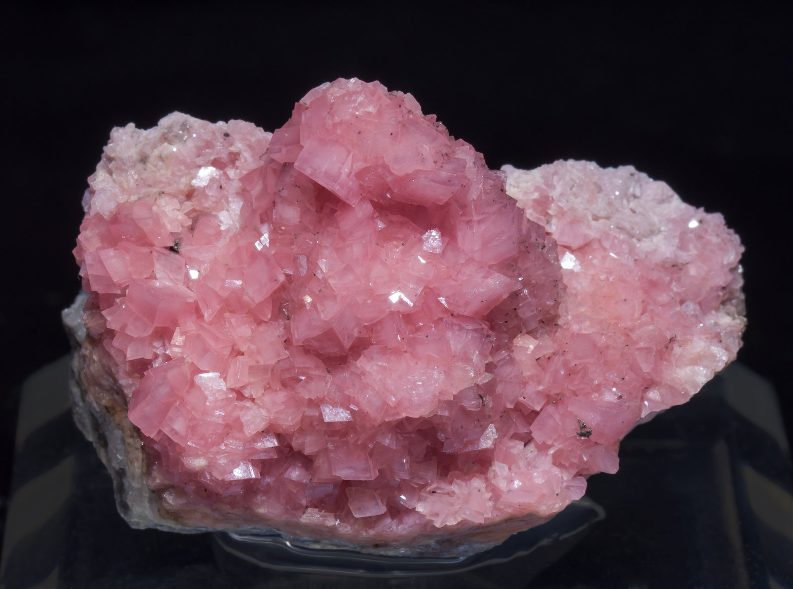 specimens/s_imagesAJ9/Rhodochrosite-TC6AJ9f.jpg