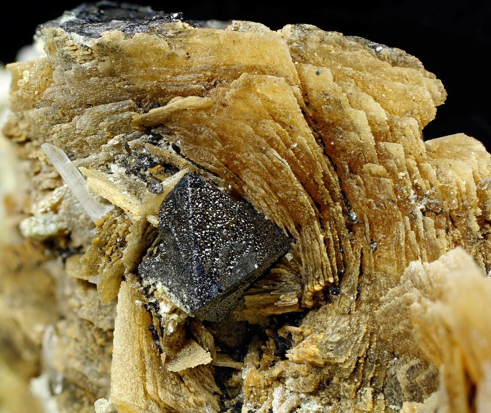 specimens/s_imagesAJ9/Roweite-EA89AJ9_9630_d3.jpg